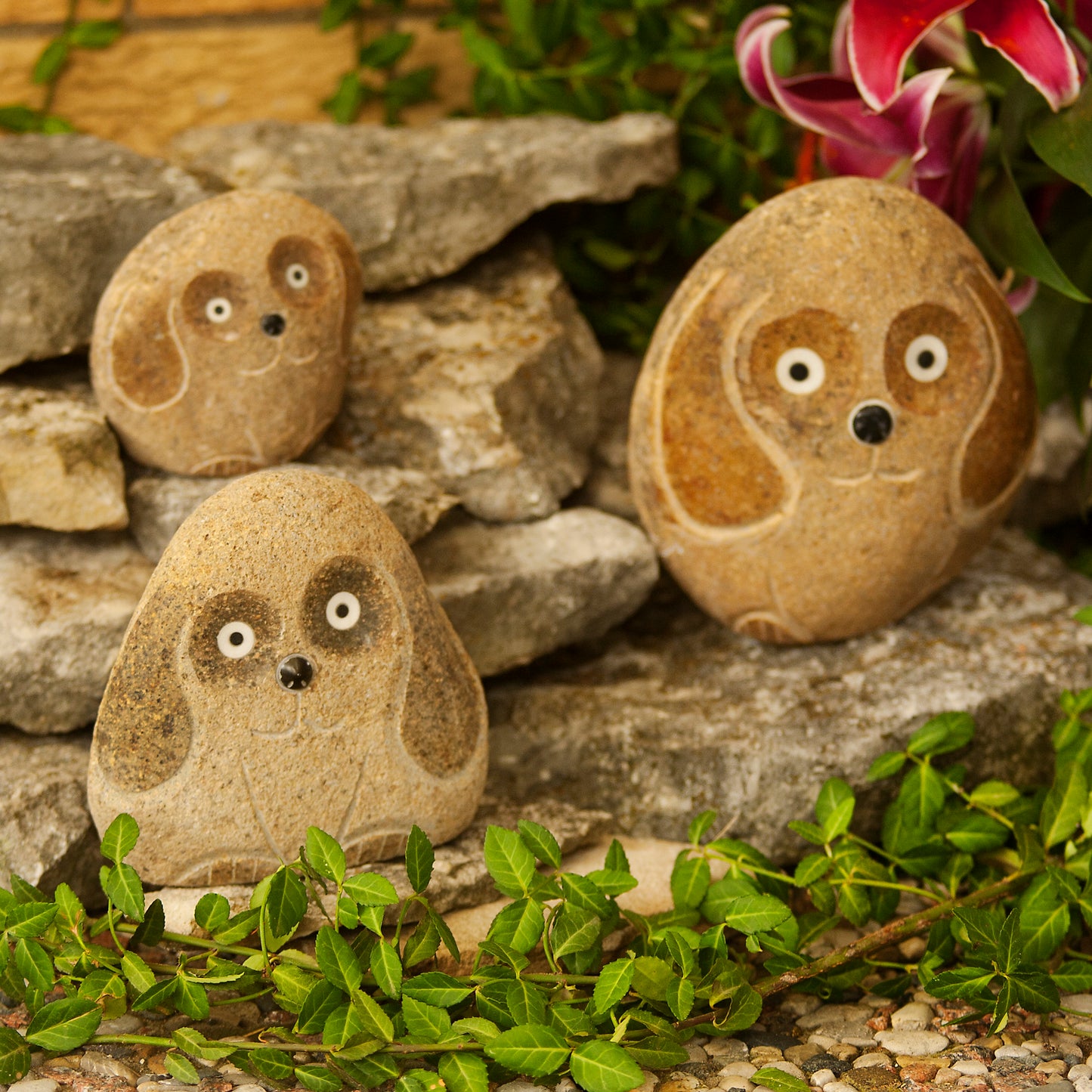 Family of Boulder Dogs 3 Pcs 4"6"8"