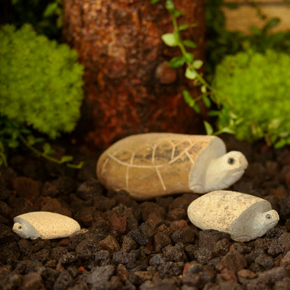 Family of Boulder Turtles 3 Pcs 4"6"10"