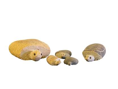 Family of Boulder Turtles 5 Pcs 4"x26"10"14"