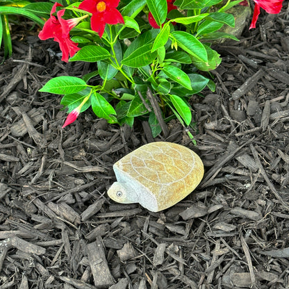 4" Boulder Turtle