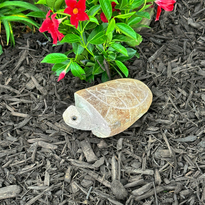 6" Boulder Turtle