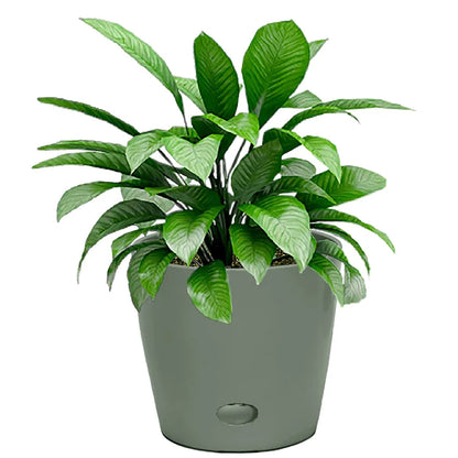 7" Sage Green Round Self-Watering Bamboo Pot