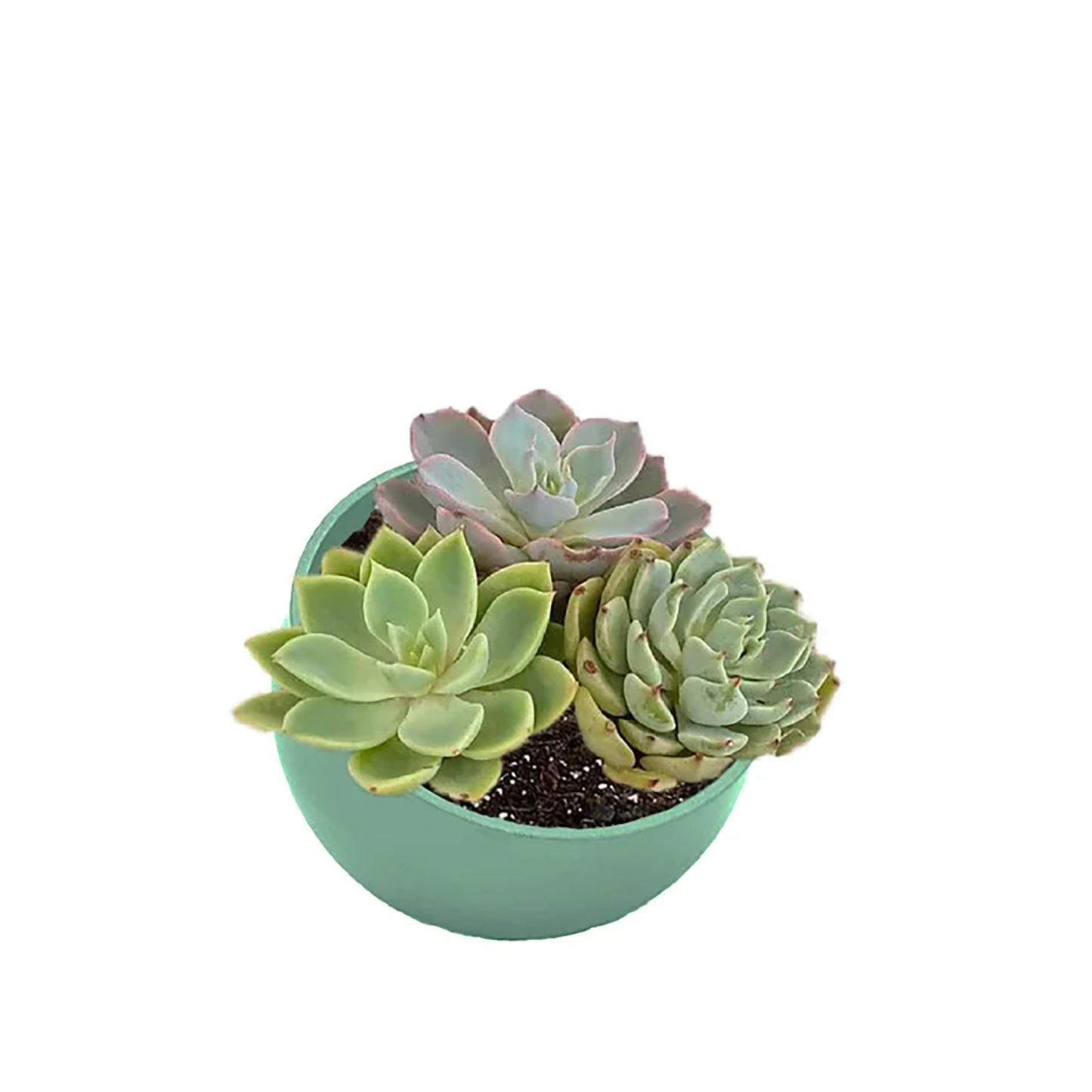 7" Sage Green Orbital Bamboo Planter