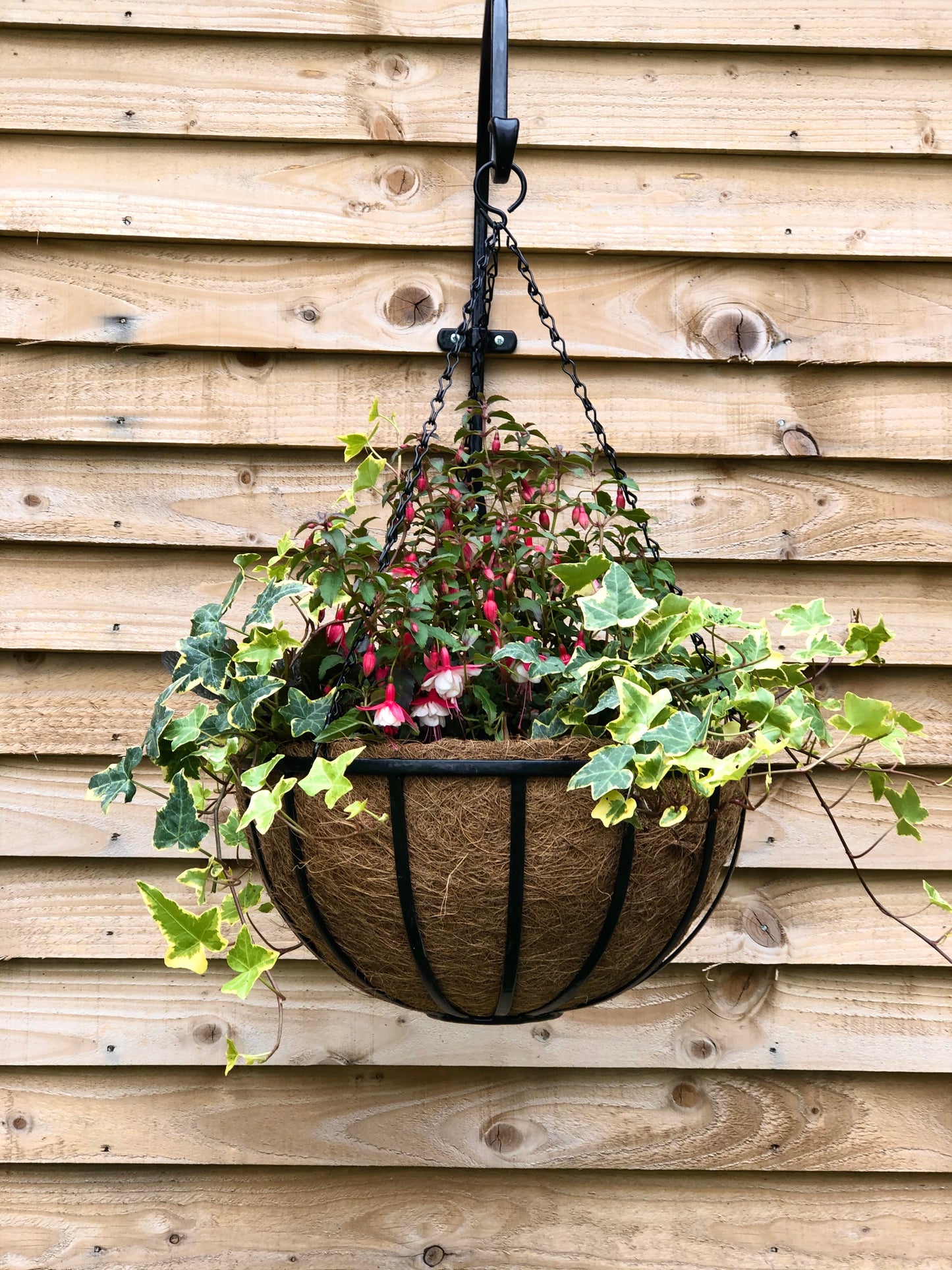 16" Cambridge Premium Hanging Basket with Coco Liner