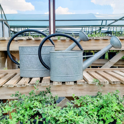 1.3 gal Oval Aged Zinc Watering Can