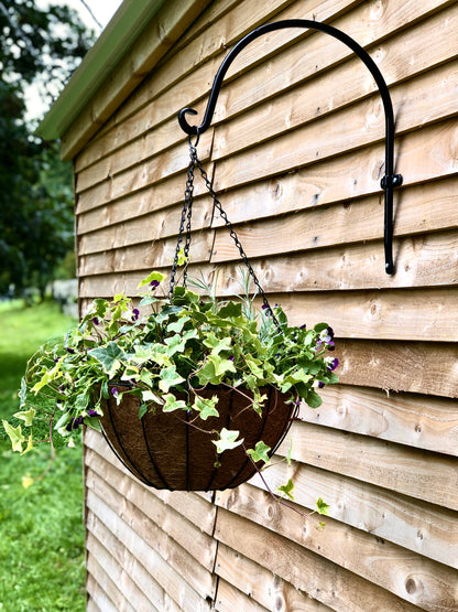 16" York Deluxe Hanging Basket with Coco Liner
