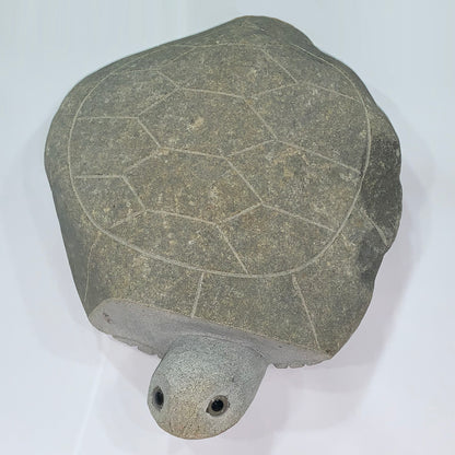 14" Boulder Turtle